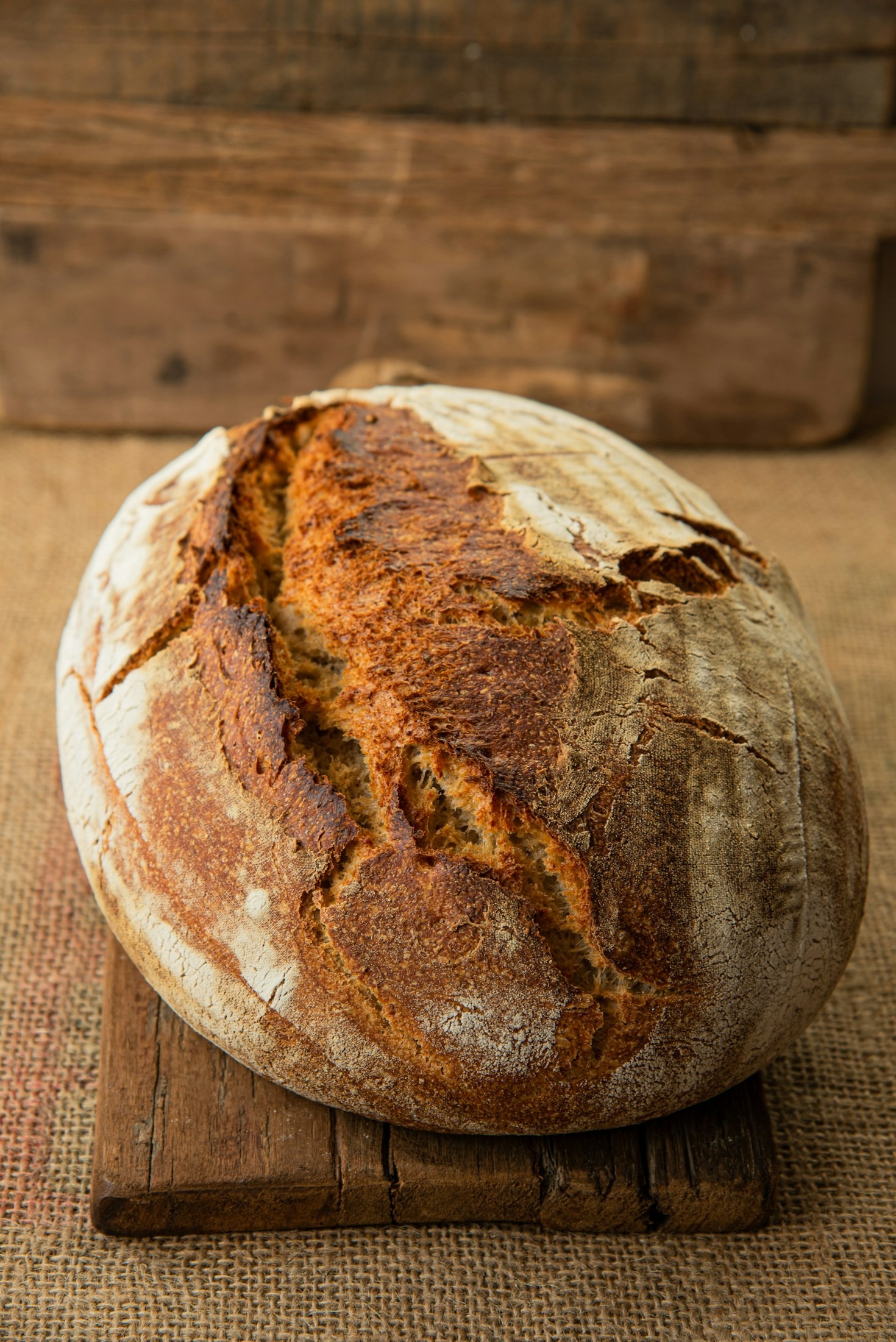 From Grain to Magic: The Oracle Oven Story